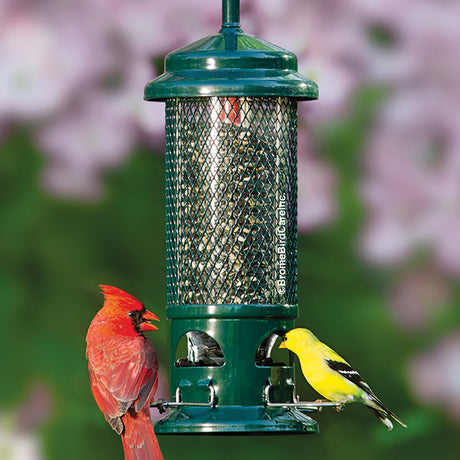 Brome Squirrel Buster Standard bird feeder with a metal skirt and green mesh, designed to prevent squirrels from accessing bird seed.