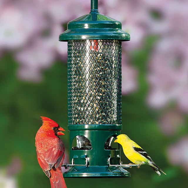 Brome Squirrel Buster Standard bird feeder with a metal skirt and green mesh, designed to prevent squirrels from accessing bird seed.