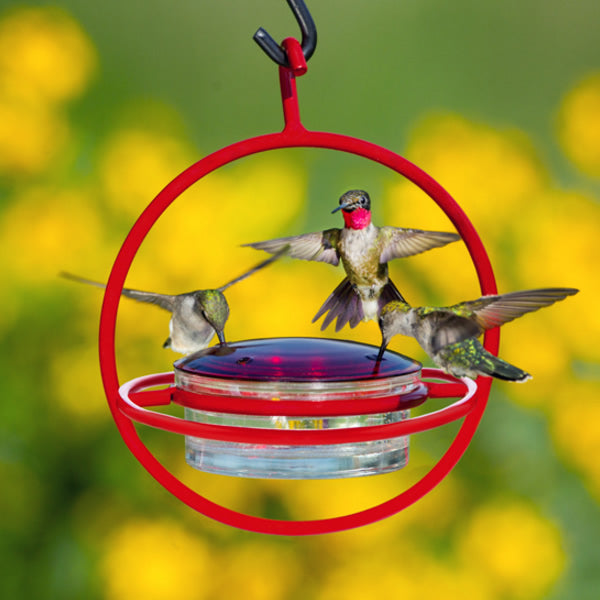 Hanging Sphere Hummingbird Feeder with Red Perch, featuring multiple hummingbirds feeding from four ports on a durable steel frame with clear glass dish.