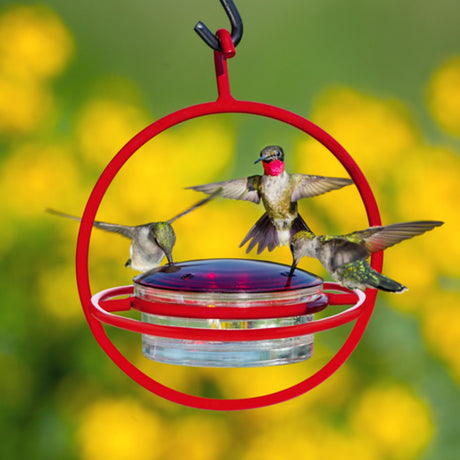 Mosaic Birds Hummble Hummingbird Replacement Lid shown with a group of hummingbirds drinking from a feeder. Suitable for outdoor use.