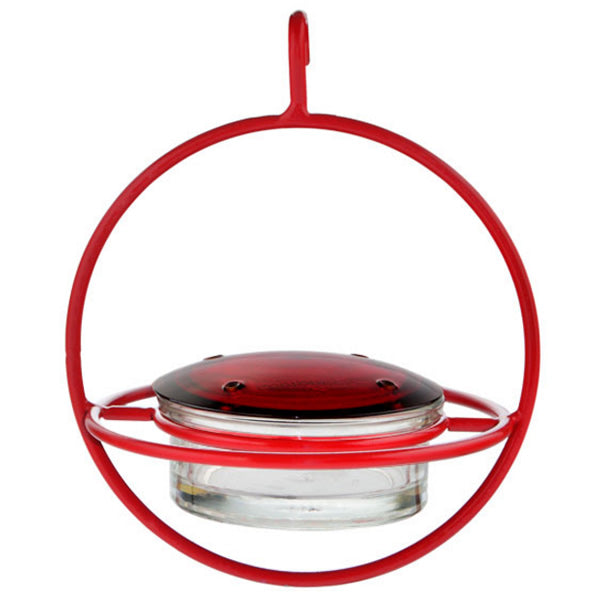 Hanging Sphere Hummingbird Feeder with Red Perch, featuring a glass lid and a durable steel frame with four feeding ports.