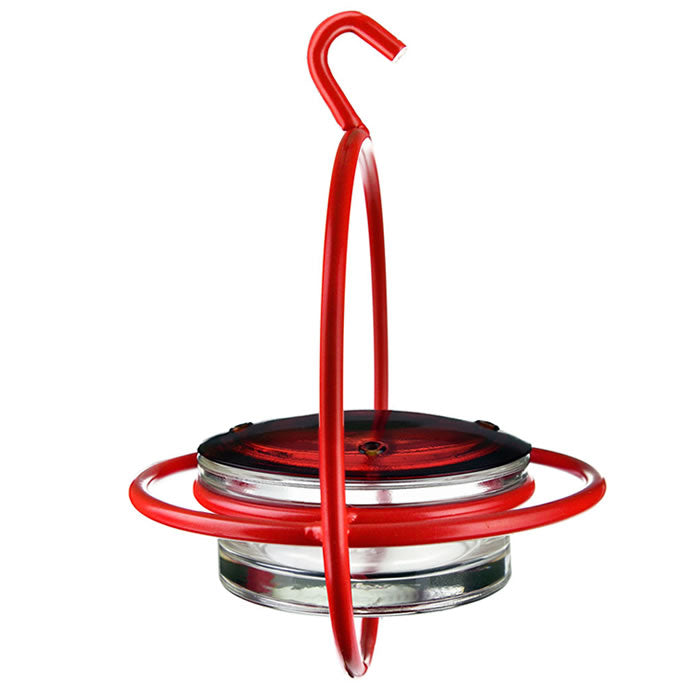 Hanging Sphere Hummingbird Feeder with Red Perch features a clear glass dish, four feeding ports, and a sturdy hook for easy hanging.