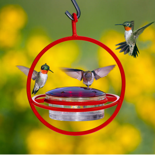 Hanging Sphere Hummingbird Feeder with Red Perch features a glass dish and steel frame, attracting hummingbirds with its inviting design and multiple feeding ports.