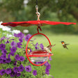 Sphere Hummingbird Feeder and Weather Guard with red perch, sturdy steel frame, and clear glass dish, showing a hummingbird feeding from one of the four ports.