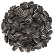 Striped Sunflower Wild Bird Seed, 5-lb bag; close-up of large, plump striped sunflower seeds, ideal for attracting cardinals and grosbeaks to feeders.