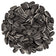 Striped Sunflower Wild Bird Seed, 5-lb bag; close-up of large, plump striped sunflower seeds, ideal for attracting cardinals and grosbeaks to feeders.