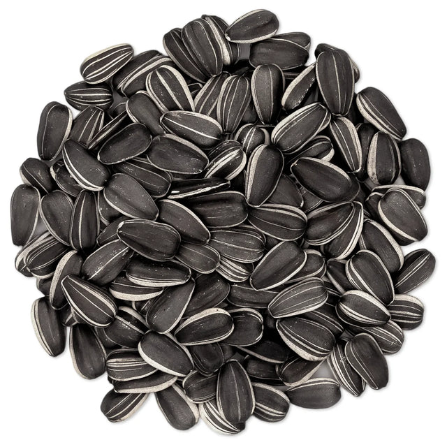 Striped Sunflower Wild Bird Seed, 5-lb bag; close-up of large, plump striped sunflower seeds, ideal for attracting cardinals and grosbeaks to feeders.