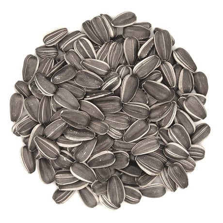 Striped Sunflower Wild Bird Seed, 5-lb bag, featuring a pile of large, premium-grade sunflower seeds, ideal for attracting cardinals, grosbeaks, and jays.