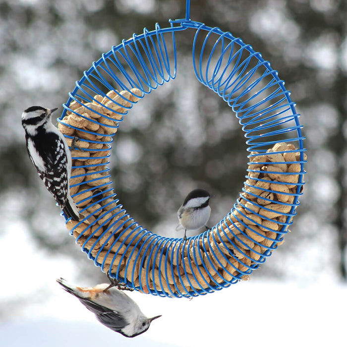 Wreath Peanut Feeder in use, attracting birds like woodpeckers, showcasing easy clinging and entertaining bird activity.