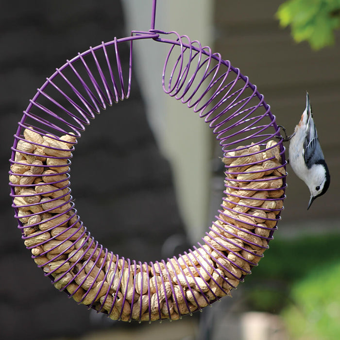 Bird perched on Wreath Peanut Feeder, showcasing its all-metal, weather-resistant design with a hook for hanging and spring-form coils for easy clinging.