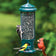 Brome Squirrel Buster Legacy bird feeder with multiple birds perched, featuring a weight-sensitive mesh to block squirrels and a clear tube for seed level viewing.