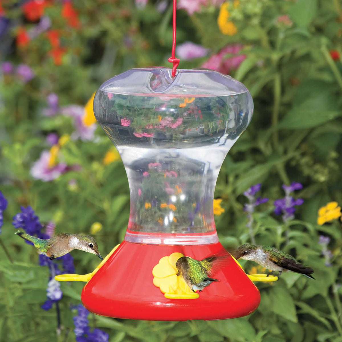 Fliteline Hummingbird Feeder – Duncraft