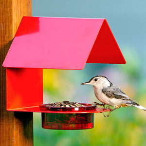 Red Metal & Glass House Bird Feeder with a bird on the feeder and a see-through glass dish for mealworms, mounted on a post.