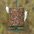 EZ Wire Seed Log Feeder with birds feeding, featuring multiple perching options for easy bird attraction and a durable, forest green powder-coated finish.