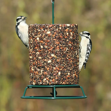 EZ Wire Seed Log Feeder with birds feeding, featuring multiple perching options for easy bird attraction and a durable, forest green powder-coated finish.