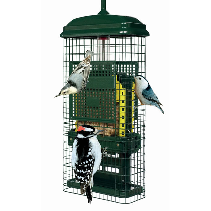 Brome Squirrel Buster Suet Feeder with birds feeding, featuring a weight-sensitive metal sleeve that prevents squirrel access and holds two suet cakes.