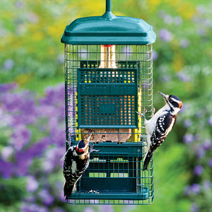 Brome Squirrel Buster Suet Feeder with two birds feeding, featuring a weight-sensitive metal sleeve to keep squirrels out and hold two suet cakes.