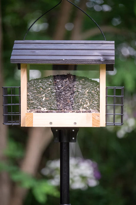 Brome BirdsUP Mounting Flange shown with bird feeder setup, highlighting its use for attaching accessories to a 1-inch pole, includes four stainless screws.
