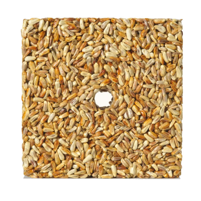 Golden Safflower Feast Block Small, Set of 3: square blocks of safflower seeds with a central hole, designed to attract birds and deter squirrels.