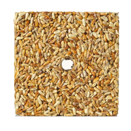 Golden Safflower Feast Block Small, Set of 3: square blocks of safflower seeds with a central hole, designed to attract birds and deter squirrels.