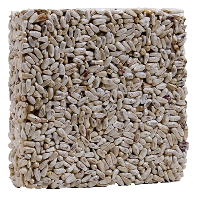 Safflower Feast Block Small, Set of 3, featuring compact seed cakes made of safflower and gelatin, ideal for cardinals and fitting any suet feeder.