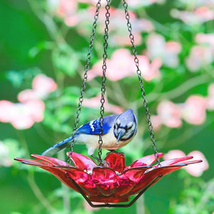 Blue and white bird perched on red 12 Glass Daisy Bird Bath or Feeder, highlighting its recycled glass design and powder-coated steel hanging chain for gardens.