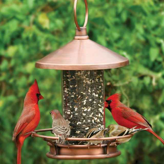 Classic Perch Bird Feeder with copper finish, featuring multiple birds feeding from a circular dish, designed for easy hanging and cleaning in gardens or backyards.