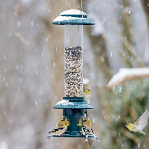 Brome Squirrel Buster Evolution bird feeder in snowy setting, filled with seeds, surrounded by feeding American goldfinches, snowflakes falling around, showcasing squirrel-proof design.