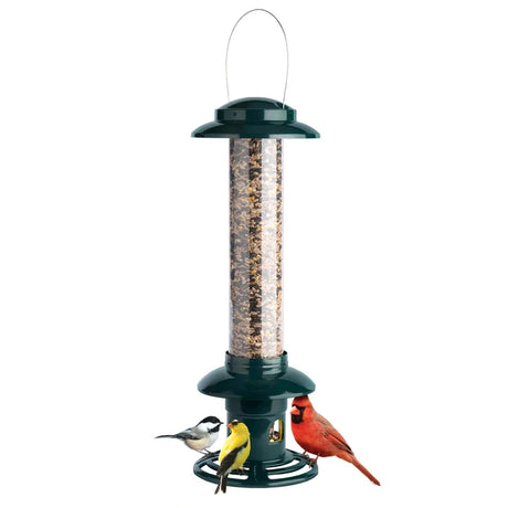 Brome Squirrel Buster Evolution bird feeder with songbirds feeding; features a wire hanger, tube design, shroud mechanism, and Cardinal Ring, preventing squirrel access.