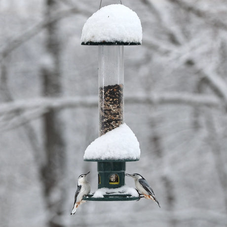 Brome Squirrel Buster Evolution bird feeder dusted with snow, featuring songbirds feeding. Designed to deter squirrels, with visible seed levels and a unique water diverter.