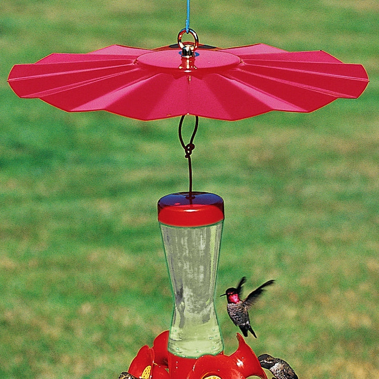Red hummingbird feeder with a hummingbird perched on it against a green background