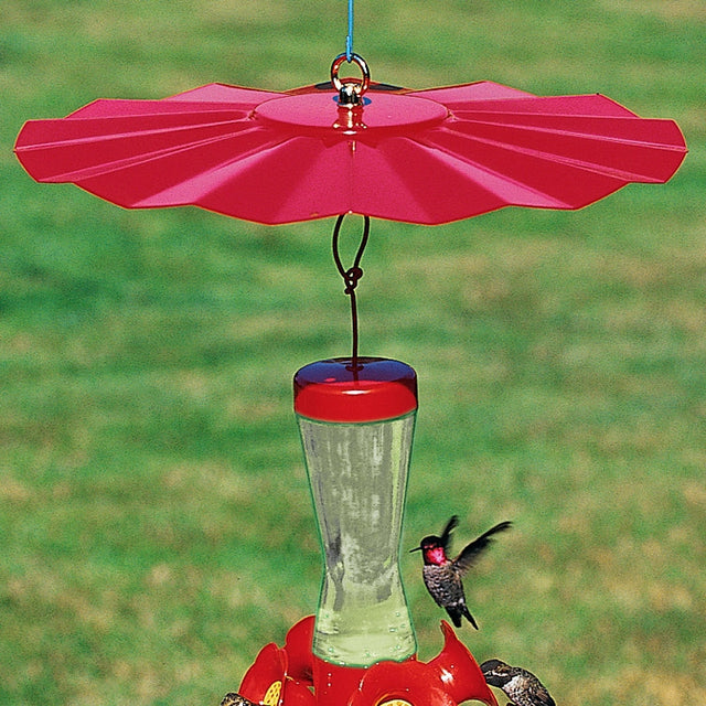 Red hummingbird feeder with a hummingbird perched on it against a green background