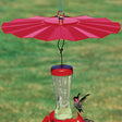 Hummingbird Weather Baffle: A durable metal baffle shields a nectar feeder, offering protection from sunlight and rain with a hanging loop for added convenience.