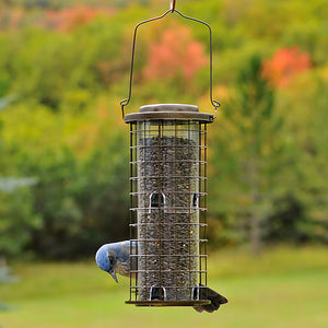 Squirrel Stumper bird feeder with an outer cage, holding 3 lbs. of seed, featuring 8 feeding ports, and a secure lid, attracting smaller clinging birds.