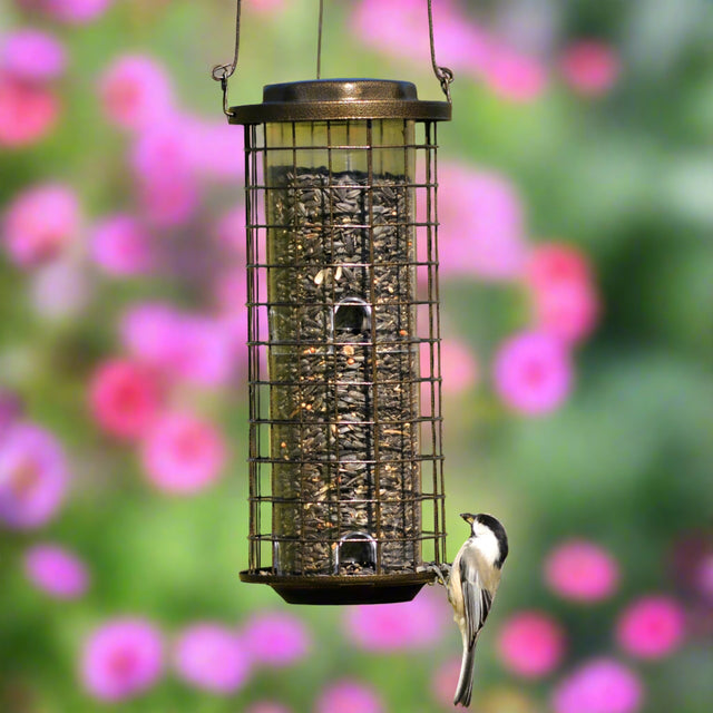 Squirrel Stumper bird feeder with outer cage, 8 feeding ports, and a secure lid, designed to attract smaller, clinging birds while preventing critter interference.