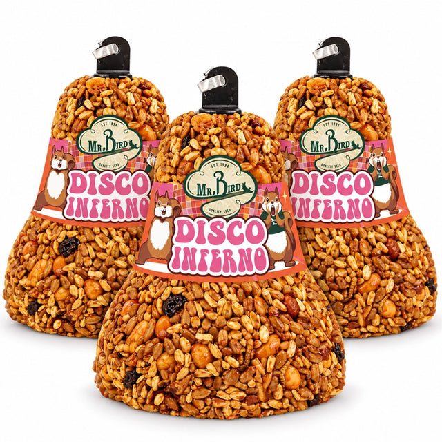 Three Mr. Bird Disco Inferno bird food bells with orange and pink labels on a white background.