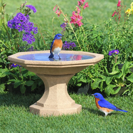 Newton Bird Bath, Sand, in a garden setting with a bird standing on the short pedestal, surrounded by purple flowers and greenery.