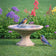 Newton Bird Bath, Sand, on lawn with blooming flowers, features two bluebirds—one bathing, one waiting. Compact design, lightweight resin, 17 diameter, 11 tall.