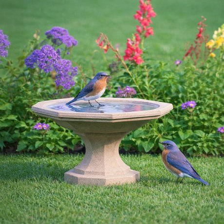 Durable bird baths built to last for backyard birding.