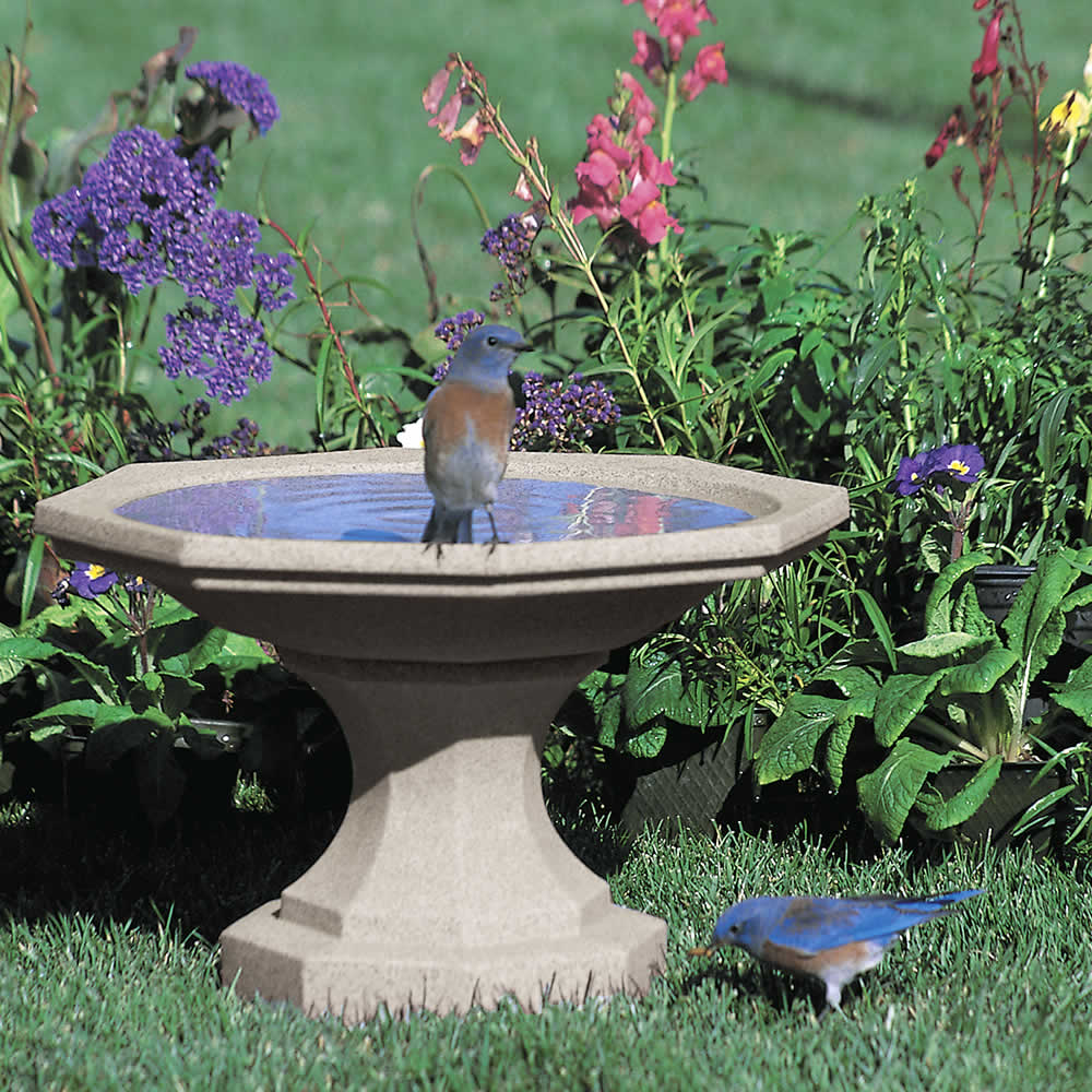 Newton Bird Bath, Sand, in a garden setting with a bird standing on the short pedestal, surrounded by purple flowers and greenery.