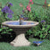 Newton Bird Bath, Sand, in a garden setting with a bird standing on the short pedestal, surrounded by purple flowers and greenery.
