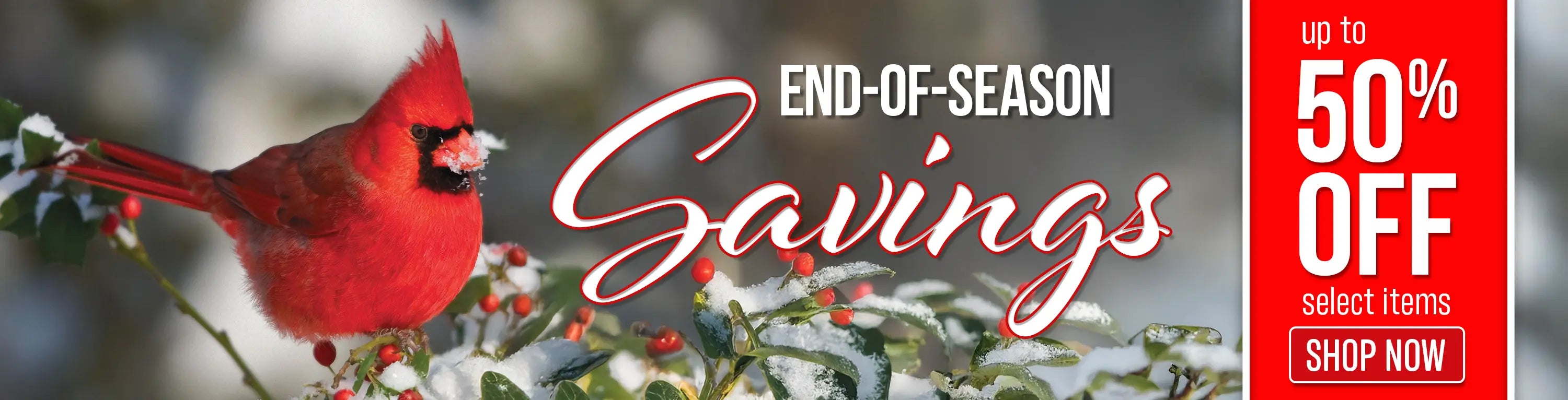 Cardinal with snow on it's beak.  Banner that says end of season savings. Up to 50% off Select Items.  Shop Now.  