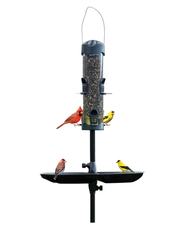 Brome Mega 600 Podium Kit featuring a bird feeder with six ports and extendable perches, hosting birds, set up with Seed Buster Tray and pole.