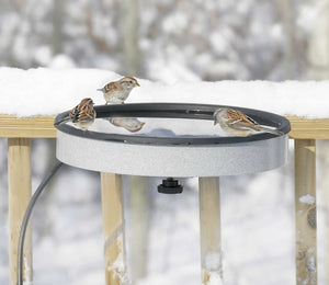 Heated Deck Mount Bird Bath with sparrows perched on the rim, providing open water amidst snowy outdoor conditions.