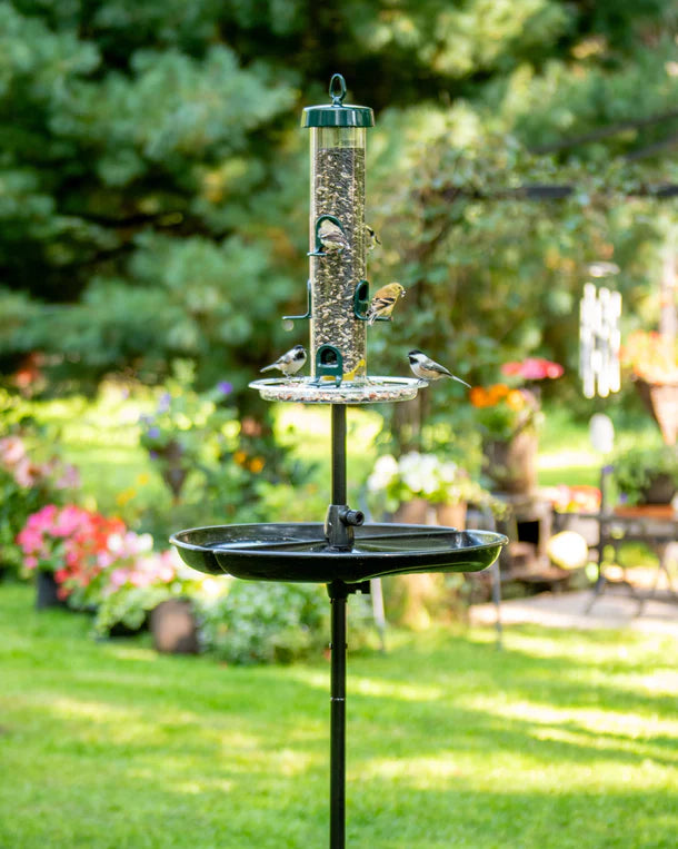 Brome Tube Solution 200 Podium Kit with birds on the feeder, featuring a pole kit and Seed Tube Ventilation for fresh bird food.