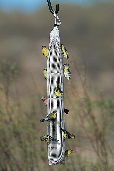 Super Nyjer® Stocking, Set of 3 or 6: Group of birds perched on a netted stocking feeder, ideal for goldfinches, each stocking holding 3 lbs of Nyjer® seed.