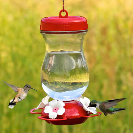 Top Fill Glass Hummer Feeder with twist-off top, four flower-shaped feeding ports, and clear glass reservoir. A hummingbird is feeding while another hovers nearby.