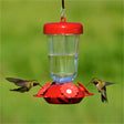 Perky's Finest Plastic Top Fill Feeder with 4 feeding stations, showing hummingbirds drinking from its lifelike red and white ports.