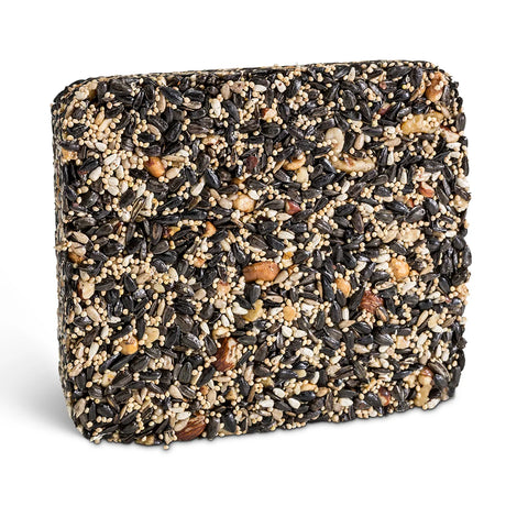 Fruit Berry Nut & Seed Cake: A compact, square seed block with visible black-oil sunflower seeds, millet, and nuts, designed to attract and nourish various backyard birds year-round.