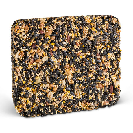 Superior Blend Seed Cake for wild birds, a rectangular block of seeds and nuts, ideal for diverse bird feeding in various feeder types.